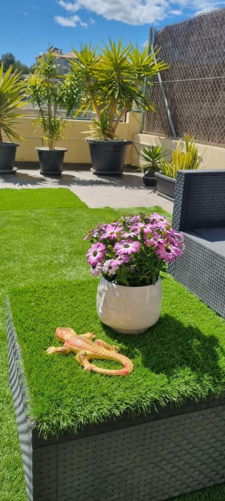 La Zenia Sabrina Apartment 5 Orihuela Luaran gambar